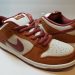 Nike SB Dunk Low Pro Dark Russet Cedar