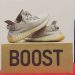 Adidas Yeezy Boost 350 V2 Sesame