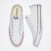 Converse Chuck Taylor All Star Ox Optical White